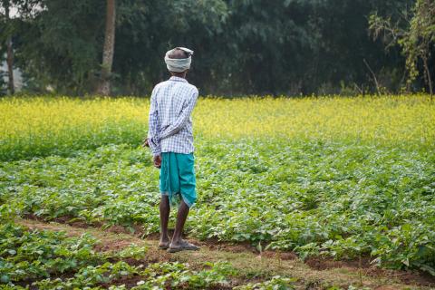 Rural Jharkhand